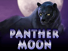 Panther Moon Азартные игры тут